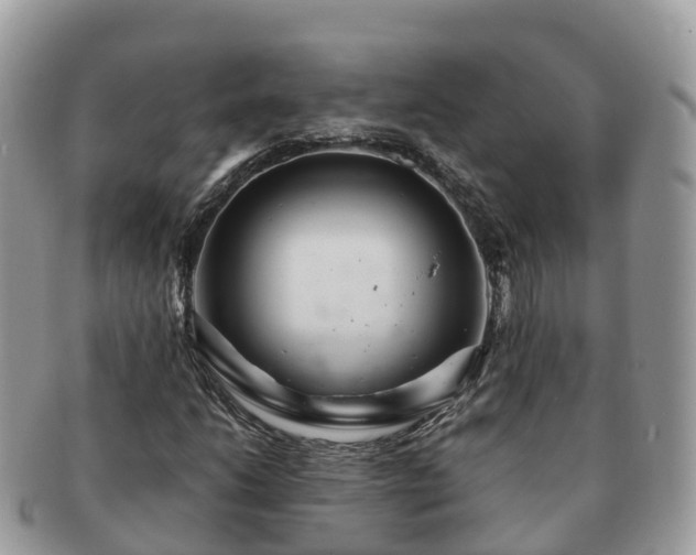 X0000091181206200708161511