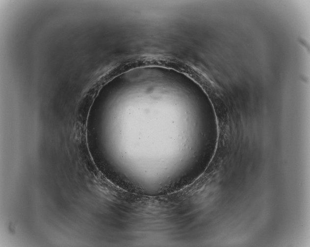 X0000091181207200708161511