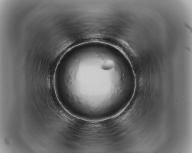 X0000091181209200708161511