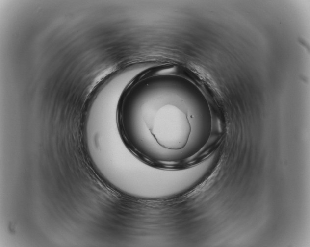 X0000091181210200708161511