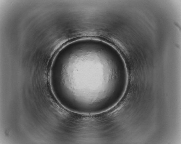 X0000091181212200708161511