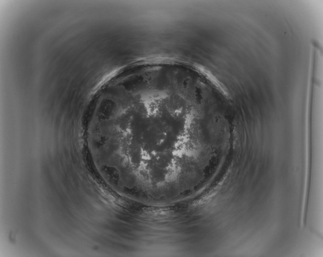X0000091181213200708161511