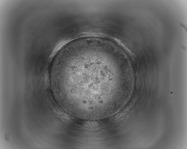 X0000091181215200708161511