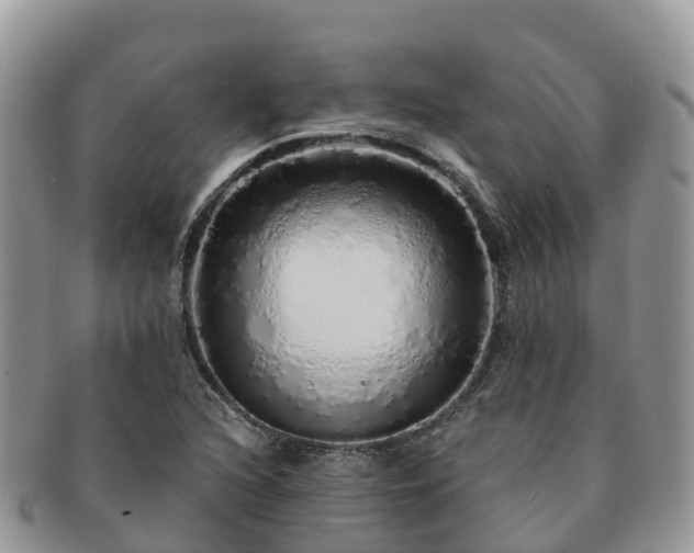 X0000091181216200708161511