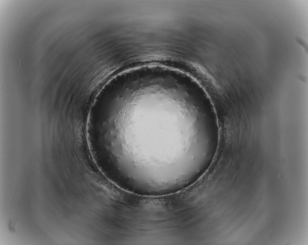 X0000091181217200708161511
