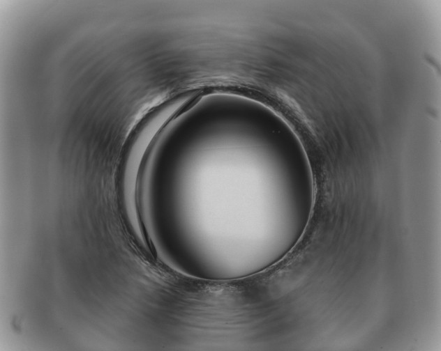 X0000091181218200708161511