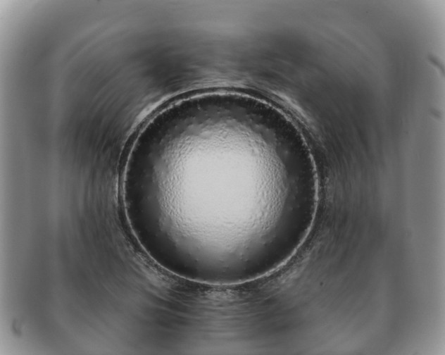 X0000091181220200708161511