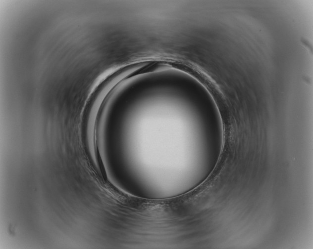 X0000091181222200708161511