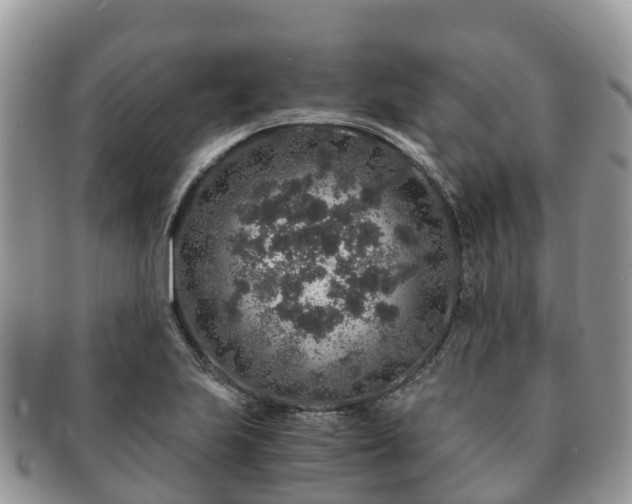 X0000091181223200708161511
