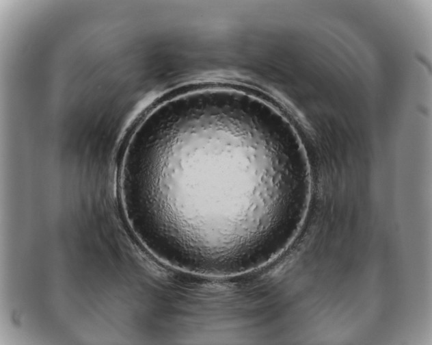 X0000091181224200708161511