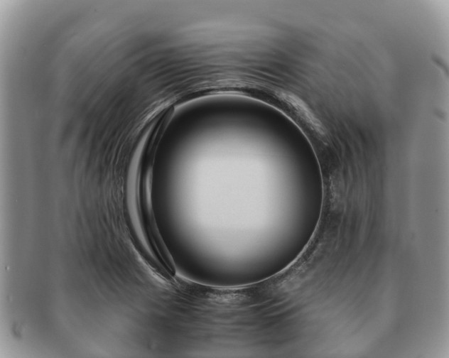 X0000091181225200708161511