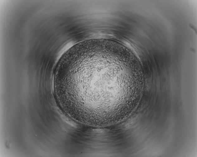 X0000091181227200708161511