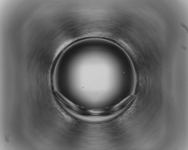 X0000091181230200708161511