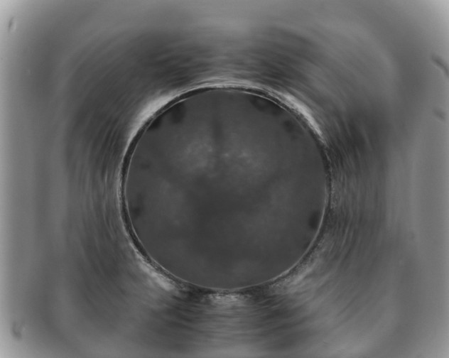 X0000091181231200708161511