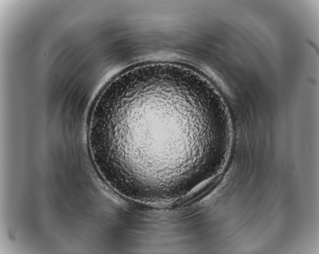 X0000091181232200708161511