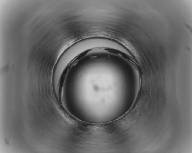 X0000091181234200708161511