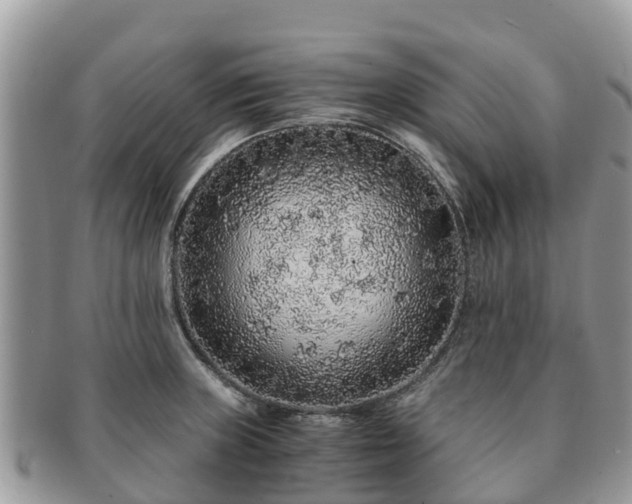 X0000091181235200708161511