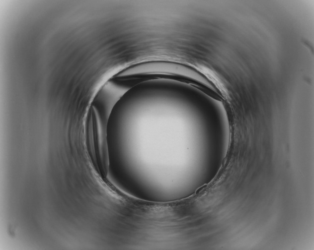 X0000091181238200708161512
