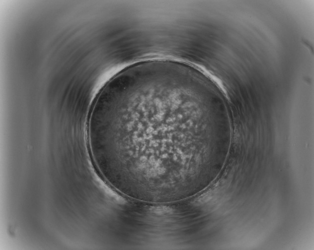X0000091181239200708161512