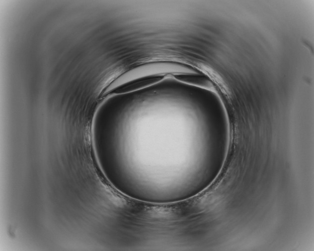 X0000091181241200708161512