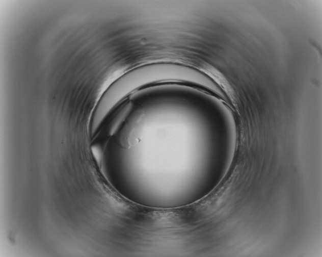 X0000091181242200708161512