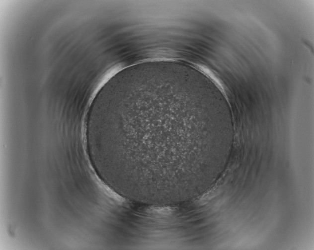 X0000091181243200708161512