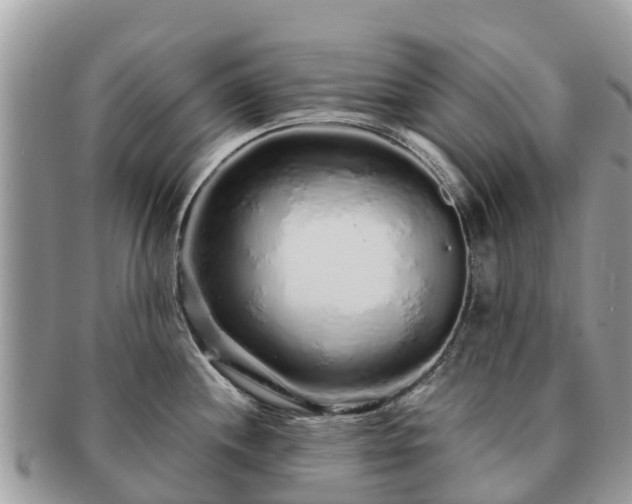 X0000091181244200708161512