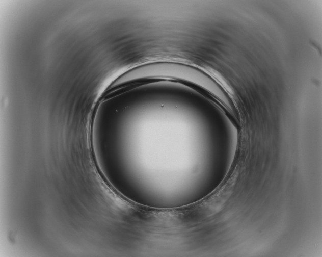 X0000091181246200708161512