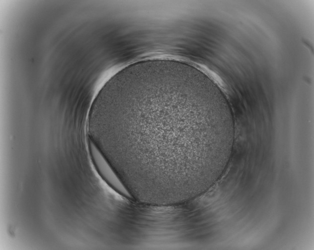 X0000091181247200708161512