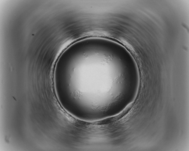 X0000091181248200708161512
