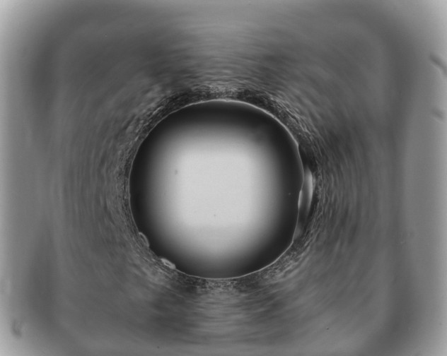 X0000091181249200708161511