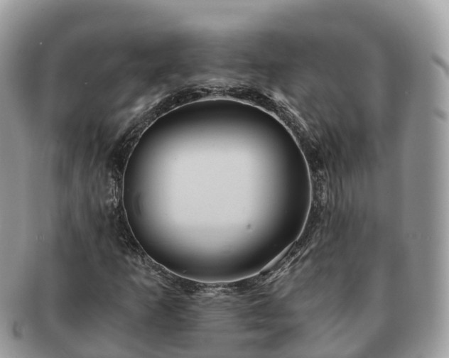 X0000091181253200708161511
