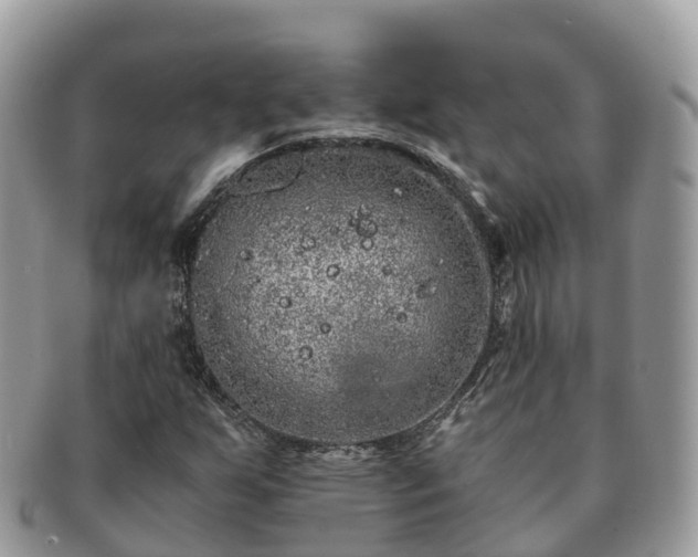 X0000091181255200708161511