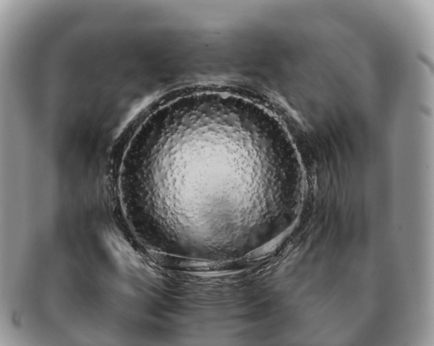 X0000091181256200708161511