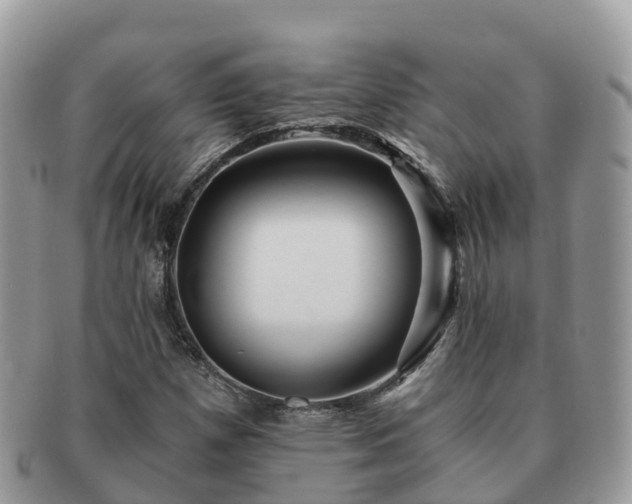 X0000091181257200708161511