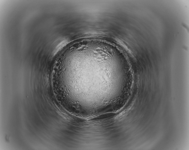 X0000091181259200708161511