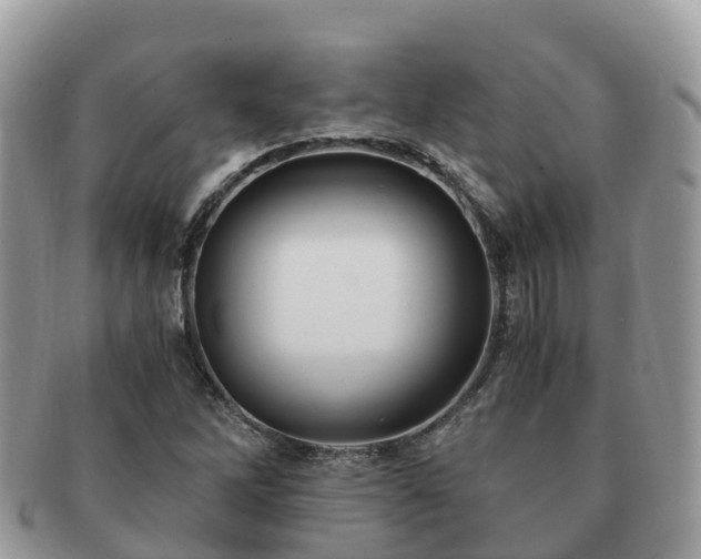 X0000091181262200708161511