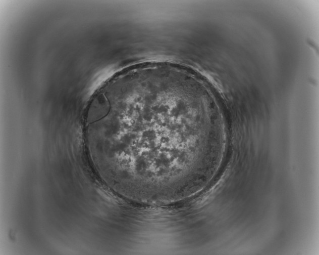 X0000091181263200708161511