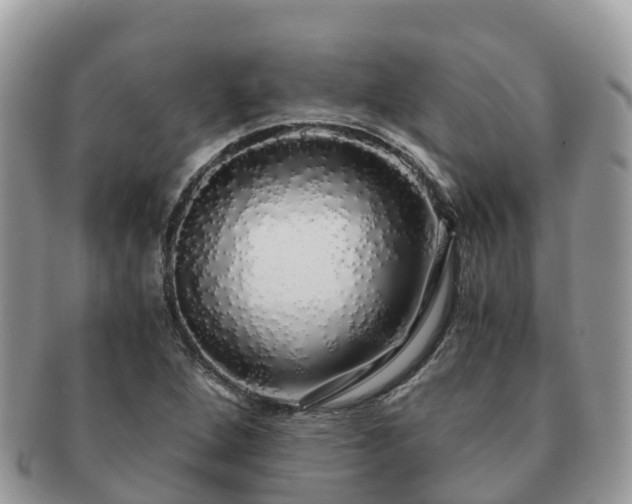 X0000091181264200708161511