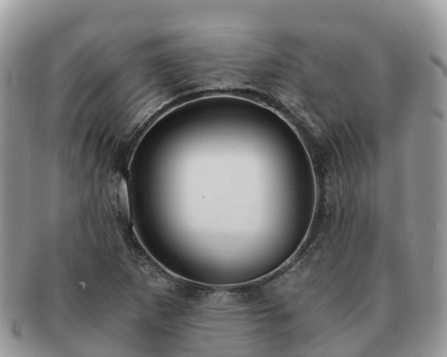 X0000091181265200708161511