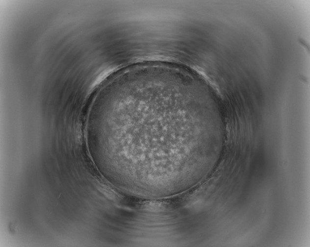 X0000091181266200708161511