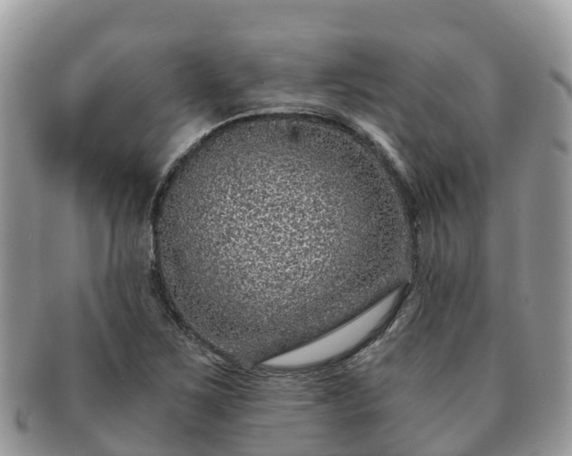 X0000091181267200708161511