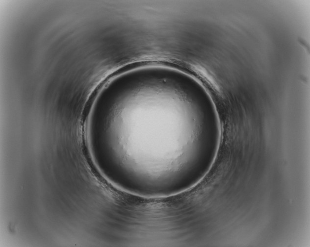 X0000091181268200708161511