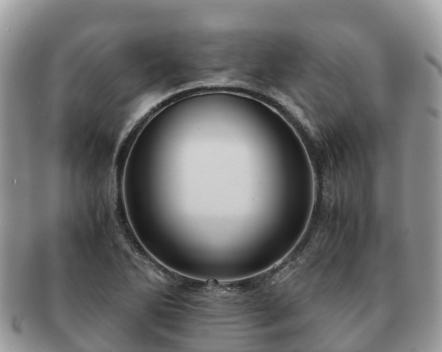 X0000091181270200708161511
