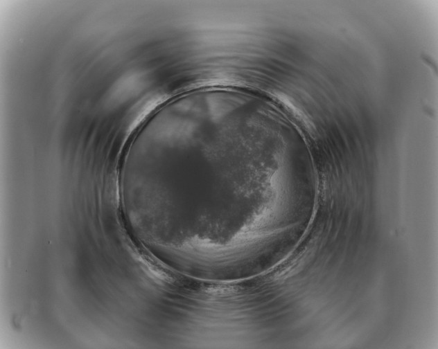 X0000091181274200708161511
