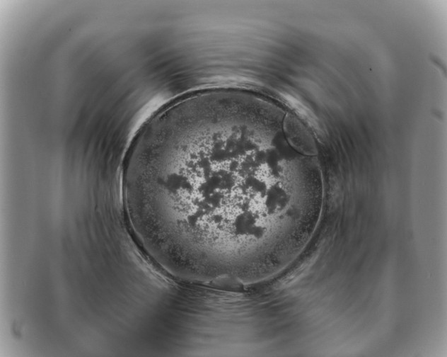X0000091181275200708161511