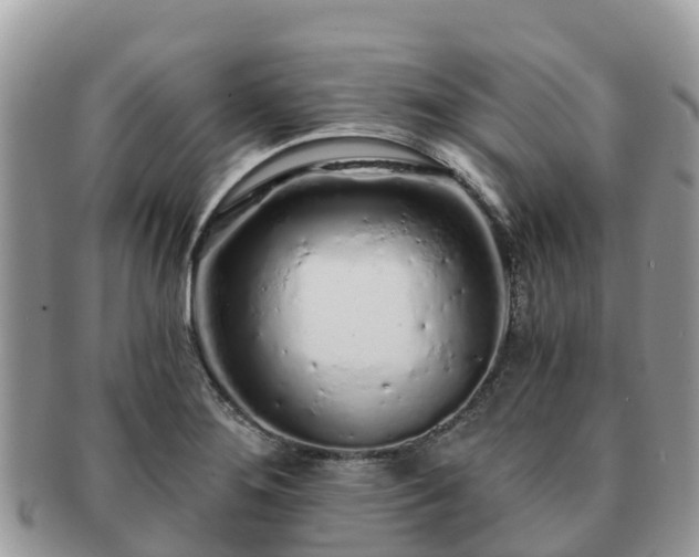 X0000091181276200708161511