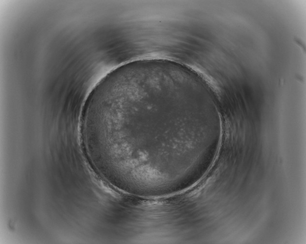 X0000091181278200708161511