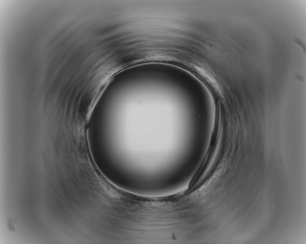 X0000091181281200708161511