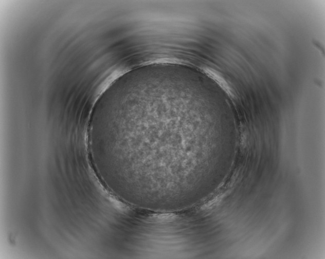 X0000091181282200708161510